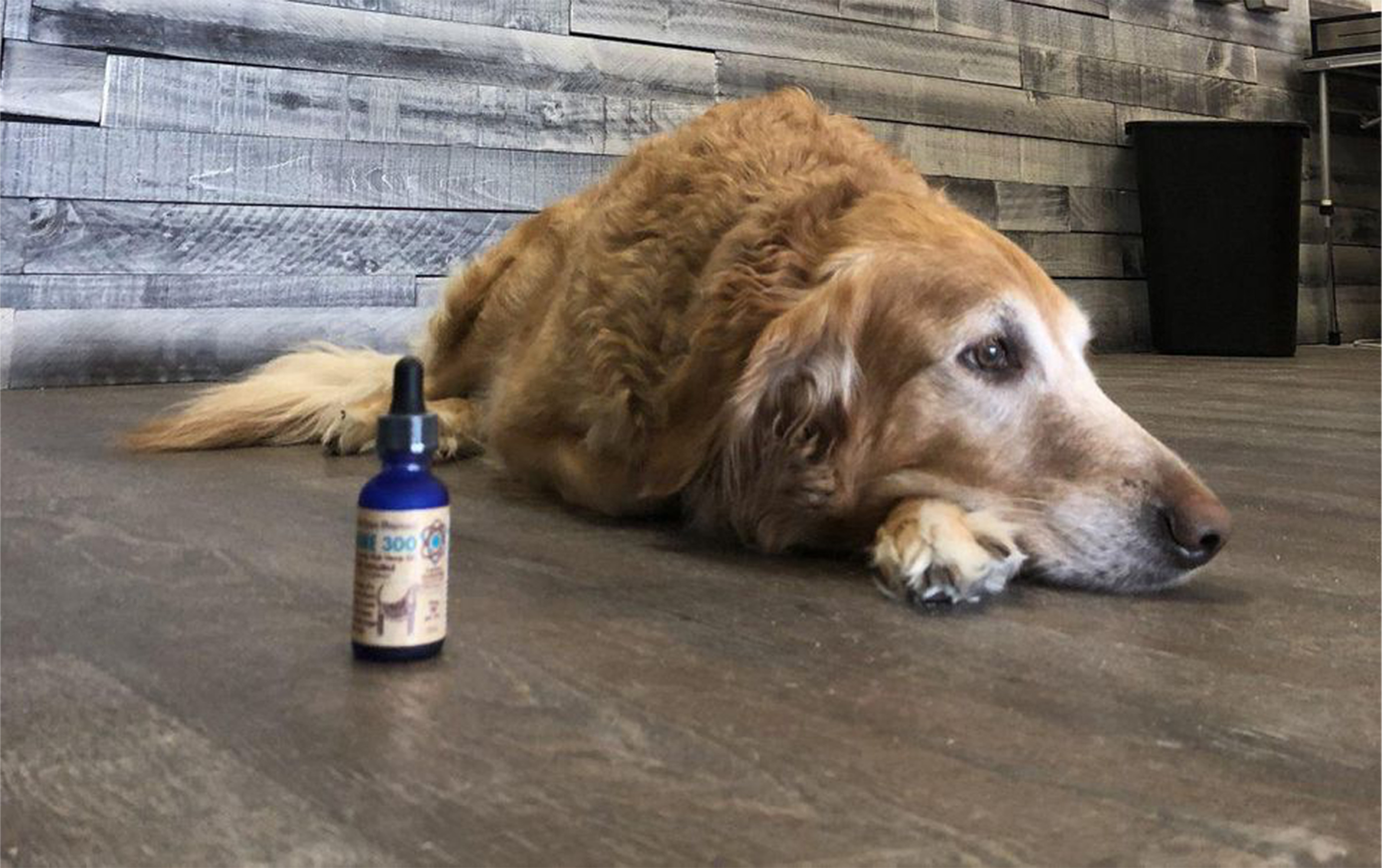 Can CBD Replace Antidepressants?